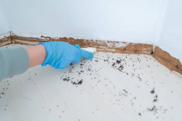 Best Real Estate Pest Inspections  in Bradley Beach, NJ